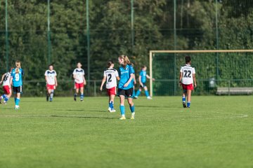 Bild 238 - wBJ VfL Pinneberg - Hamburger SV 2 : Ergebnis: 1:3